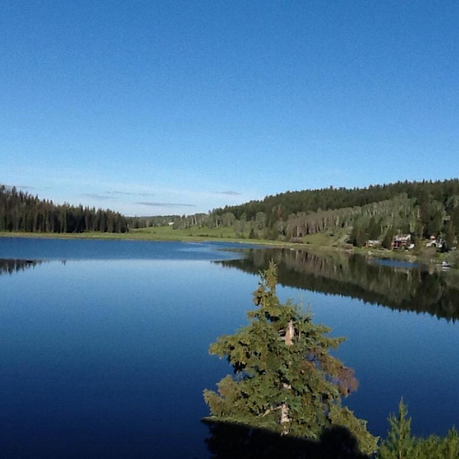 Lac Le Jeune Nature Resort Logan Lake Eksteriør bilde