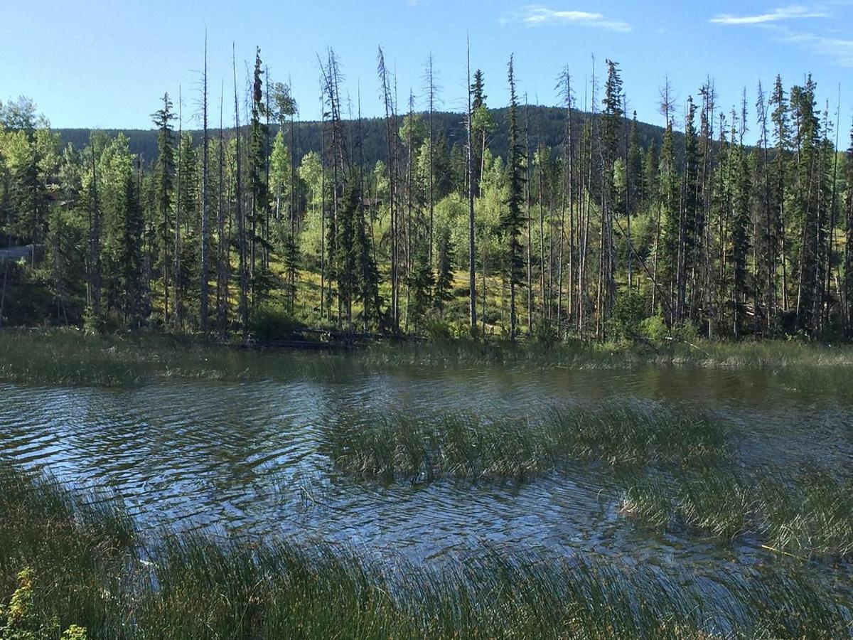Lac Le Jeune Nature Resort Logan Lake Eksteriør bilde