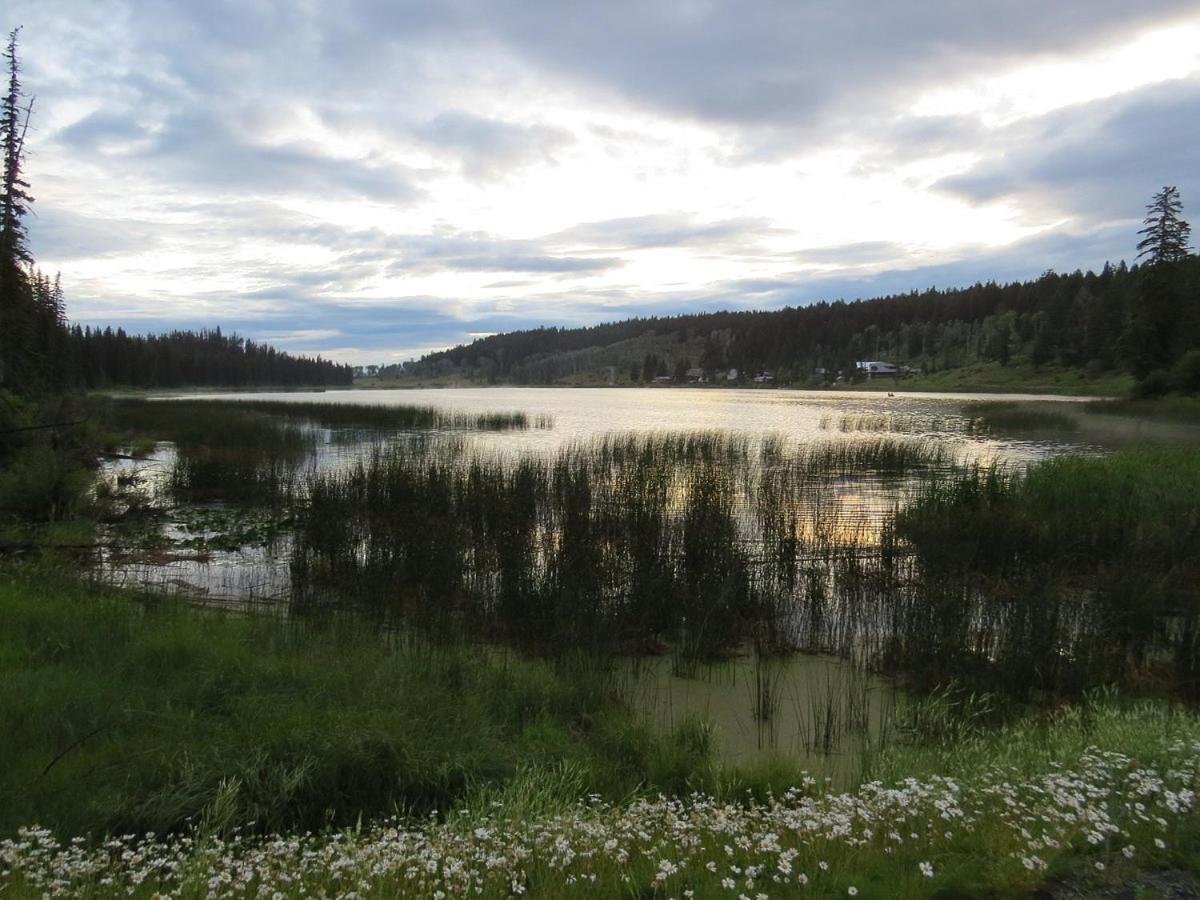 Lac Le Jeune Nature Resort Logan Lake Eksteriør bilde